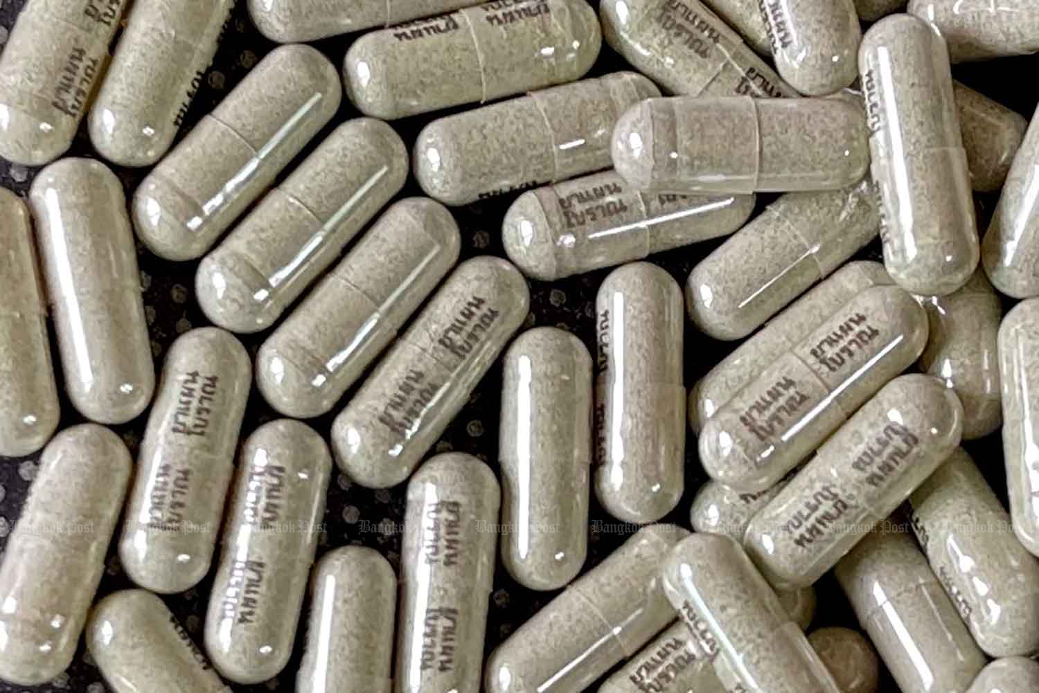 Pasien Covid Melonjak, Thailand Andalkan Sambiloto untuk Obat Covid-19